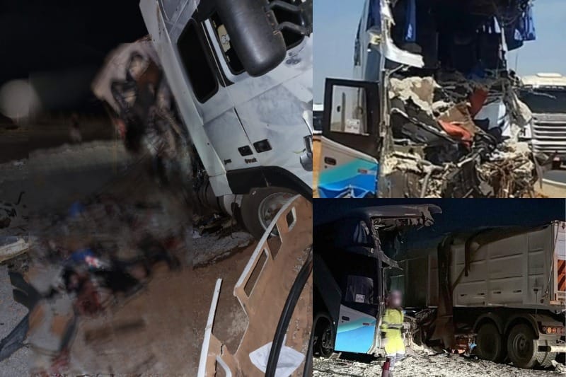 Foto montagem: Géssica Biazus