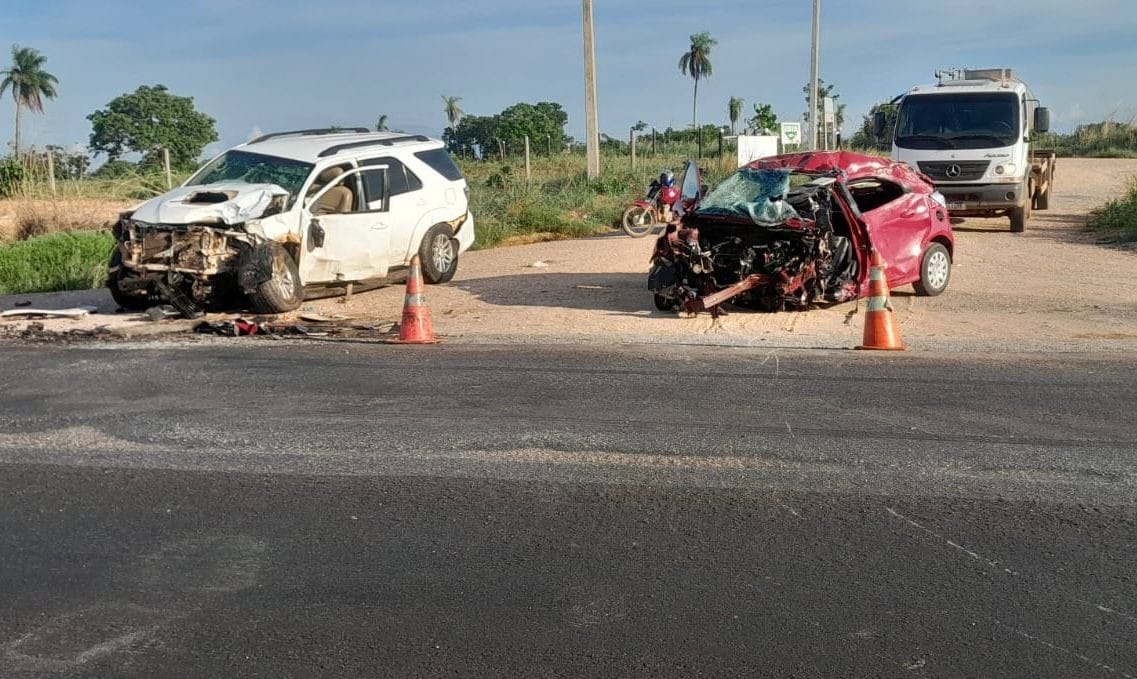 Foto: Cabeça de Urso