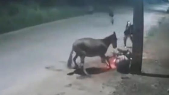 Motociclista é derrubado por cavalo e tem moto roubada por assaltantes