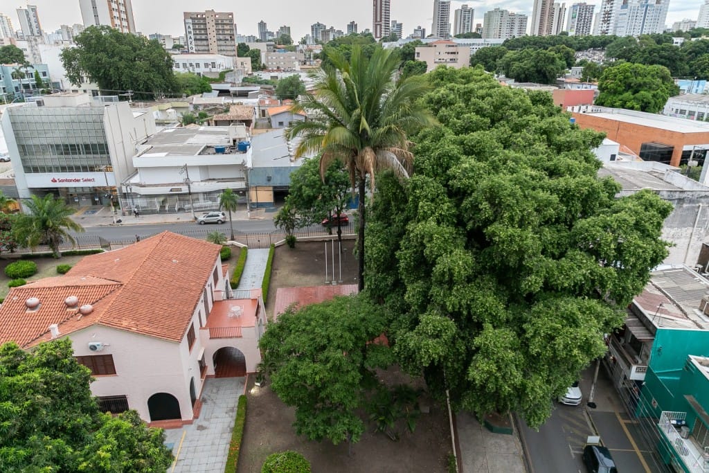 “Interdição da rua Cândido Mariano é necessária para garantir segurança após queda de galhos”, informa Prefeitura