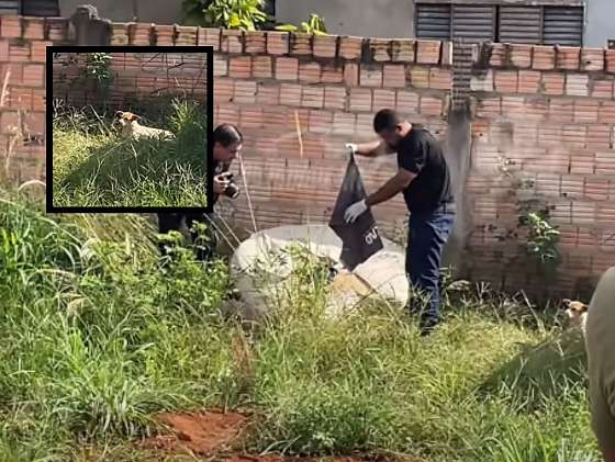 Homem é encontrado morto em terreno baldio no bairro Morada do Bosque, em Sorriso