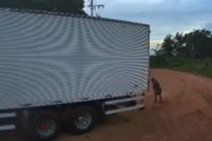 “Não viu a idosa”: câmera registra momento em que caminhão passa por cima de mulher em Várzea Grande; VEJA O VÍDEO