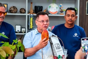 Seminário Cacau-MT Familiar promete expandir informações sobre cultura altamente rentável