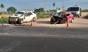 Foto: Cabeça de Urso