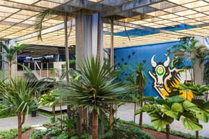 Mato Grosso retirou 309 mil pessoas da pobreza desde 2019