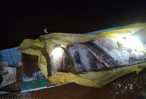 Batalhão Ambiental da PM apreende 182 quilos de pescado irregular durante fiscalização no Rio Vermelho