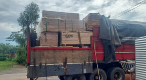 Batalhão Ambiental da PM apreende caminhão carregado com carga irregular de madeira