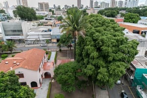 “Interdição da rua Cândido Mariano é necessária para garantir segurança após queda de galhos”, informa Prefeitura