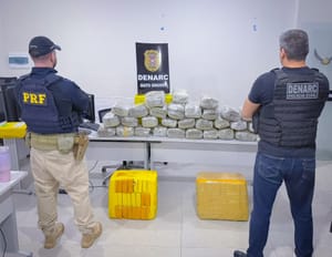 Mais de 139 kg de skunk são apreendidos pela PRF durante fiscalização na BR-364