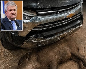 Deputado sofre acidente após colidir com animal em rodovia de MT; VEJA O VÍDEO
