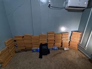 Polícia Civil apreende quase 200 tabletes de maconha e desmonta esquema de distribuição em Rondonópolis