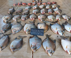 PM Ambiental apreende mais de 33 quilos de pescado irregular em Nova Canaã do Norte