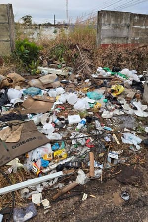 Dono de terreno pode ser multado em até R$ 7,6 mil após fiscalização da Prefeitura em Cuiabá;VEJA VÍDEO