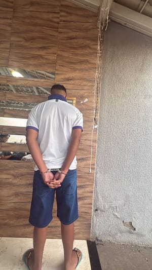 Polícia Civil cumpre mandados contra grupo suspeito de esconder cocaína em eletrodomésticos; VEJA VÍDEO