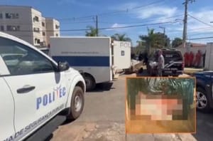 Delegado confirma que bebê encontrada no lixo nasceu com vida e morreu após o parto