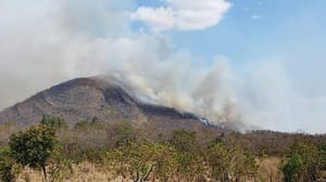Fogo avança sobre Morro de Santo Antônio e prefeitura decreta emergência por 90 dias