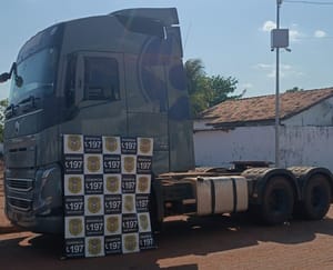 Polícia recupera caminhão roubado e encontra peças de outros veículos em desmanche