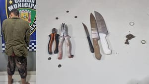 Ladrão é preso escondido em telhado após furto em VG