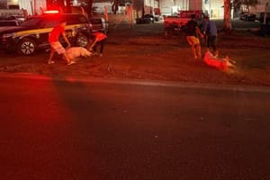 Caminhão tomba na BR-070 e populares saqueiam carga de animais; VEJA VÍDEO