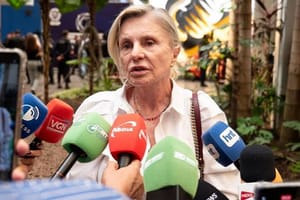 “O que eu vi foi um atacando o outro”, diz Buzetti após debate ao Senado em MT; VEJA VÍDEO