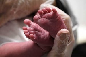 “Comportamento desnaturado”, diz Politec sobre pais de criança de 2 anos morta em Sinop